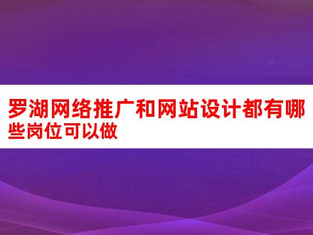 罗湖网站优化攻略：如何进行有效网站优化提升用户体验 (深圳网站优化方案)