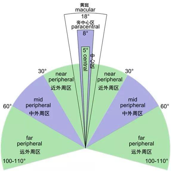 从视觉到功能：掌握网站布置技巧实现最佳优化 (从视觉效果上看)