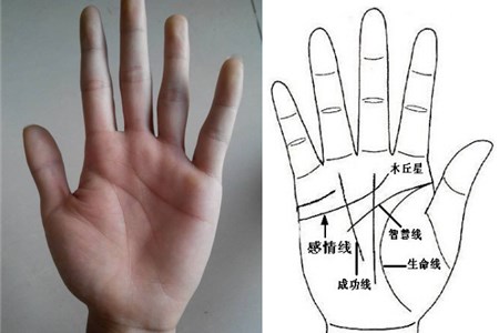 全面指南：掌握网站标签优化技巧，提升网站流量与转化率 (全面掌握)