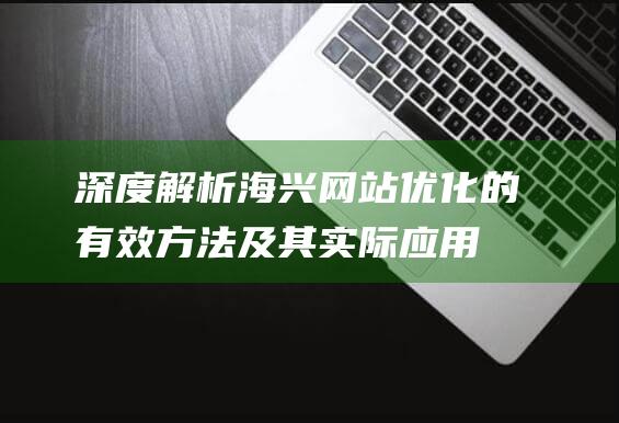 深度解析：海兴网站优化的有效方法及其实际应用 (深度解析海王)