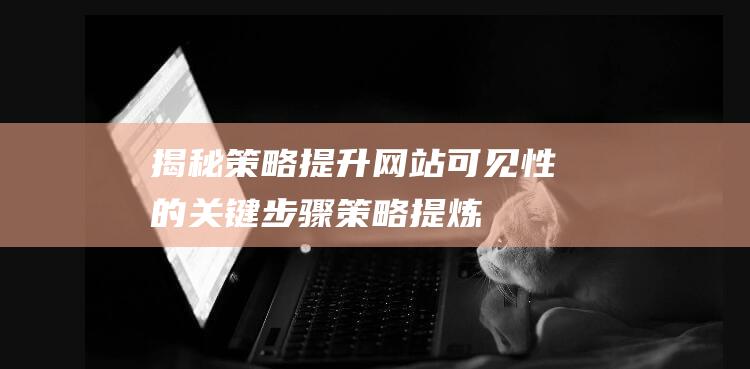 揭秘策略：提升网站可见性的关键步骤 (策略提炼)