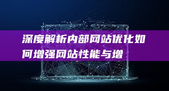 深度解析内部网站优化：<如何增强网站性能与增强用户黏性？(深度解答)