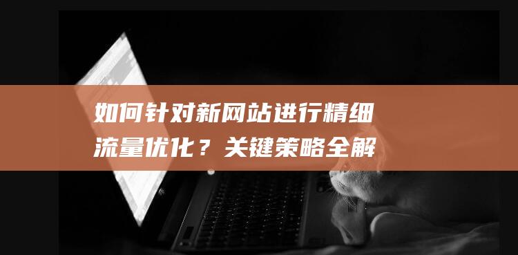 如何针对新网站进行精细流量？关键策略全解