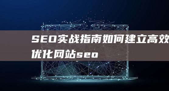 SEO实战指南：如何建立高效优化网站 (seo实战经验)