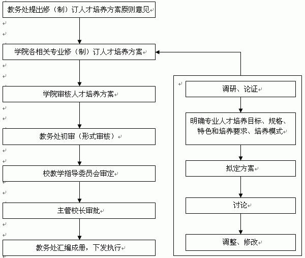 如何系统培养网站优化思路：策略与实践 (如何系统培养新员工)