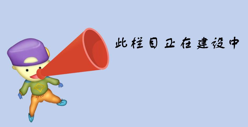 独立网站建设的优化策略：从规划到实施的全方位指南 (独立网站建设教程视频)