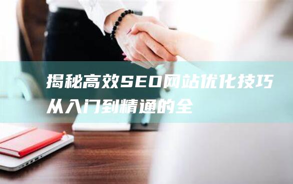 揭秘高效SEO网站优化技巧：从入门到精通的全面指南 (揭秘高效的结构化表达)