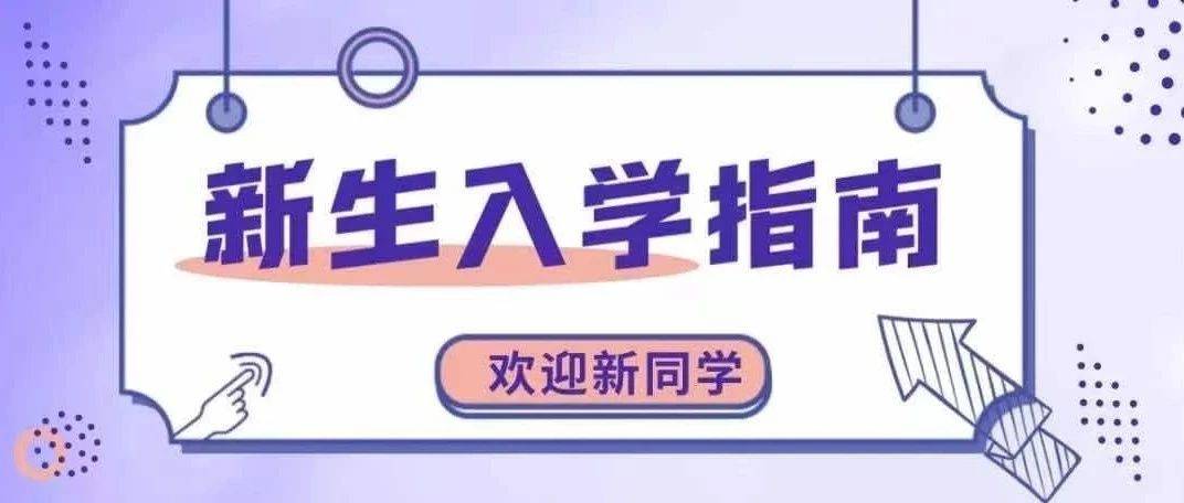 实用指南：一步步教你如何检查网站优化词排名提升情况 (实用性指南)