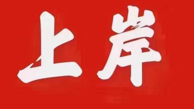 专业指南：如何优化网站性能与维护服务至最佳状态 (专业指引)