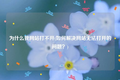 解决网站打不开问题：软件优化指南与实用技巧分享 (解决网站打不开的方法)