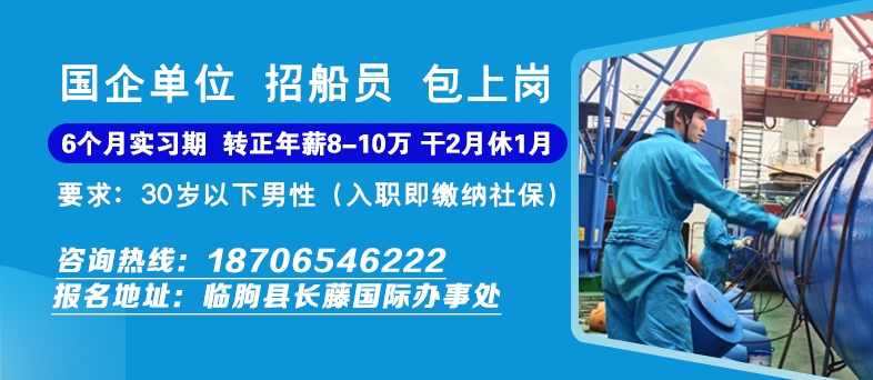 临朐网站优化深度解析：策略与执行效果双重检验 (临朐网站开发)