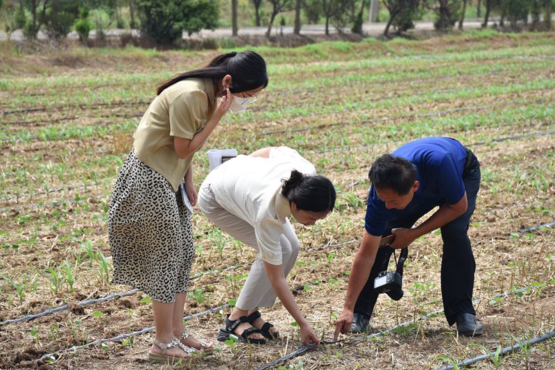 深入了解网站数据分析：全面指南优化分析策略 (深入了解网站的好处)