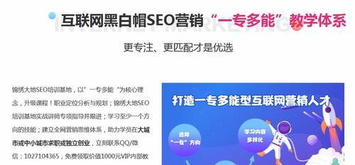 掌握网站优化秘诀：高效投放广告，提升流量转化率 (掌握网站优化的技巧)