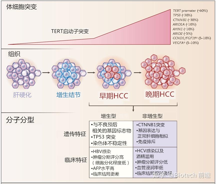 从基础到进阶：全面指南助你实施网站优化计划 (从基础到进阶,怎么形容)