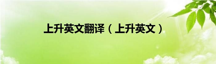 提升独立英文网站性能：全方位优化指南 (提升独立能力英语)