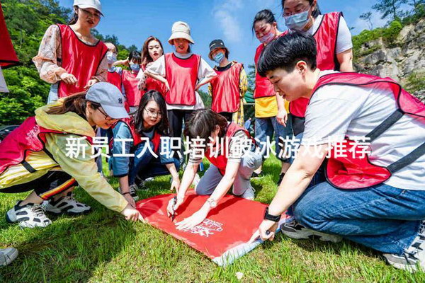 轻松上手！新网站软件优化的进阶方法与技巧 (新手的新)