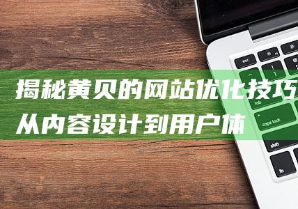 揭秘黄贝的网站优化技巧：从内容、设计到用户体验的全面升级 (揭秘黄贝的网名是什么)