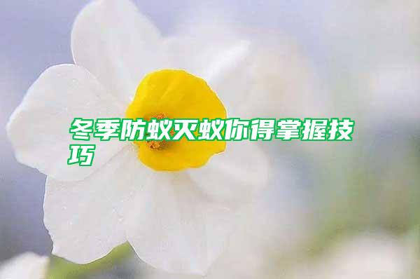 掌握要点，轻松实现手机网站性能飞跃：优化攻略大解析 (掌握要领)