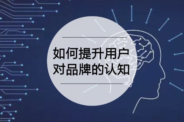 如何提升用户体验？深度探究网站专题页面的优化策略 (如何提升用户活跃度)