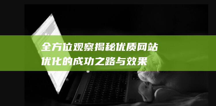 全方位观察：揭秘优质网站优化的成功之路与效果呈现 (全方位观察)