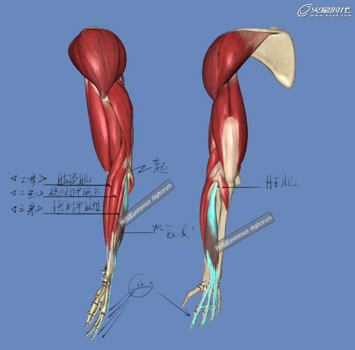 如何精准选定优化