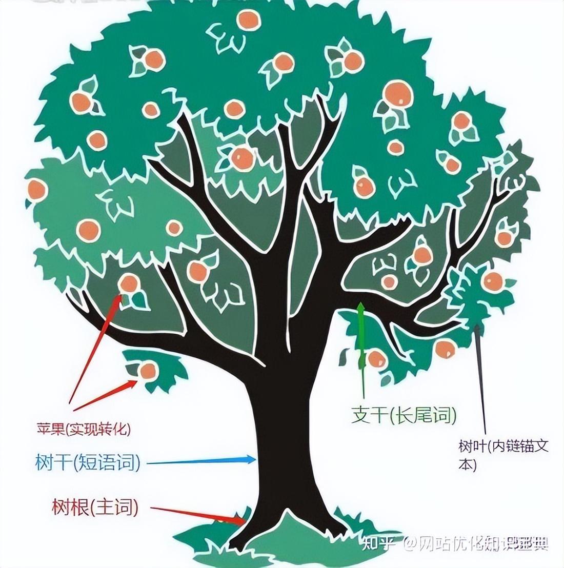 SEO优化秘籍揭秘：如何精准挖掘用户需求，提升网站流量与转化率 (seo常用优化技巧)