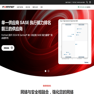 网络安全解决方案和服务的全球领导者