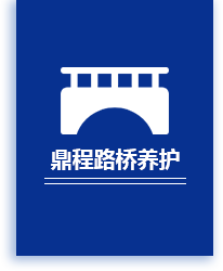 桥梁支座更换,桥梁维修加固,四川桥梁伸缩缝安装,四川桥梁纠偏移位