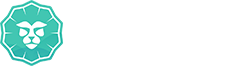 蓝狮云营销:专注谷歌seo优化